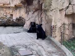 -野生动物园-停车场