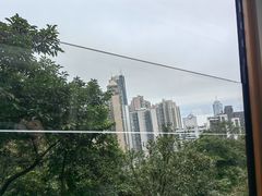-山顶缆车