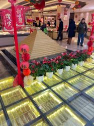 -中国黄金(北京旗舰店)