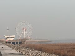 -奉贤海滩