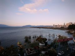 -野菌皇海景野生菌火锅(滨海大道店)