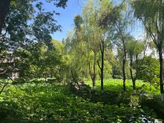 -老桂湖公园-杨升庵博物馆