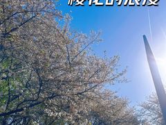 -杭州少年儿童公园