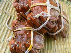 -蟹天蟹地农家菜·阳澄湖大闸蟹(浅水湾店)