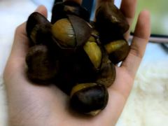 -小邢板栗(星悦广场店)