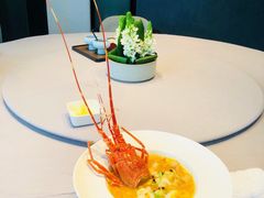 -子福慧(虹桥店)