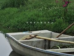 -洋湖国家湿地公园