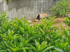 -南宁市动物园