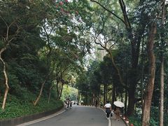 -广州市白云山风景名胜区