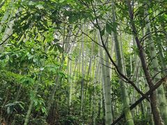 -千泷沟大瀑布旅游区