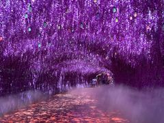 -天津方特欢乐世界