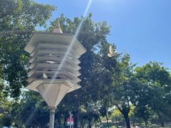 -顺峰山公园
