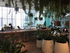 -Open House(Central Embassy)