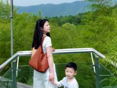 -陶祖圣境风景区