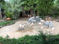 -昆明动物园