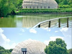 -上海吴淞炮台湾国家湿地公园