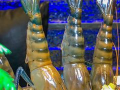 -琥珀川糟粕醋火锅(慈云寺店)