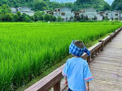 -高荡千年布依古寨旅游景区