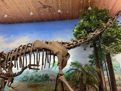 -延庆地质公园博物馆