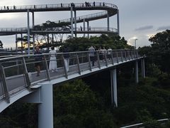 -仙岳公园