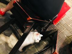 -张记牛肉面馆(天津路店)