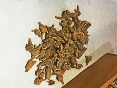 花旗参-中侨参茸(殷皇子大马路店)