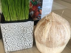 -芽庄洲际酒店自助餐厅