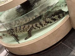 -白金汉爵大酒店(相城店)