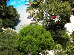 iphone_upload_pic-深圳华侨城洲际大酒店