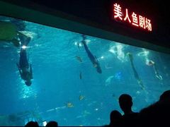 -福州罗源湾海洋世界旅游区