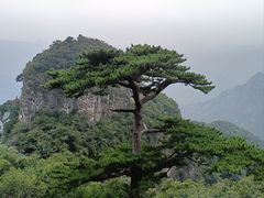 -圣莲山风景区
