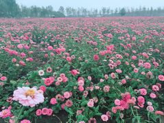 -漩门湾国家湿地公园