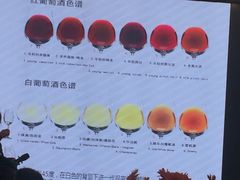 -红色盛宴酒楼(科丰桥店)