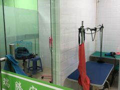 -圣宠动物医院·犬猫专科·影像中心·外科中心