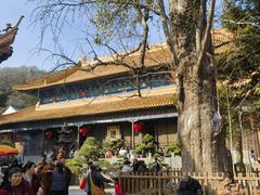 -普陀山风景名胜区-法雨禅寺