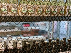 -九府羊·鲜羊火锅·烤串(新华路店)