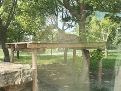 -上海野生动物园