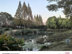 -尚贤河湿地