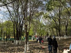 -长白岛森林公园