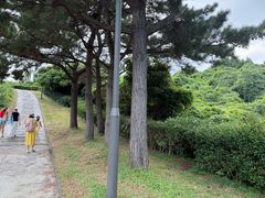 -柱状节理带