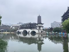 -长兴太湖图影湿地文化园