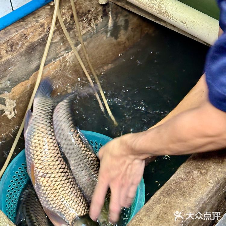 解锁我的专属烤鱼,一不小心就暴露真实性格啦~