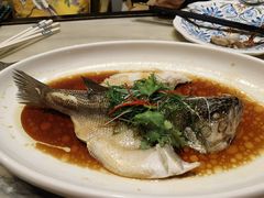 -九朝会昆曲·宴(望京店)