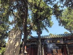 -比干庙景区