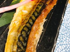 青花鱼烤鱼-隐泉京望日式料理(太和广场店)