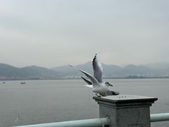 -海埂大坝