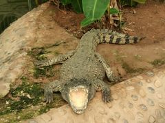 -石家庄市动物园