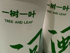 -一树一叶·福建茶档(石鼓路店)