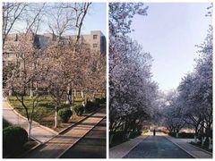 -山东师范大学(千佛山校区)