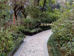 -重庆市江北嘴中央商务区中央公园